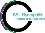 Japan ESRD PTA Balloon